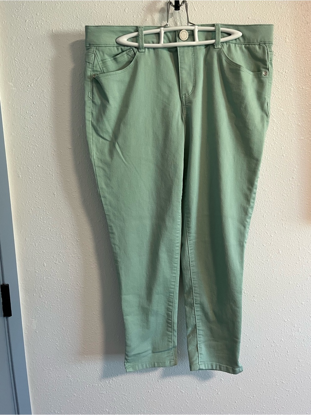 Wit & Wisdom Skinny Jeans in Mint Green Size 14